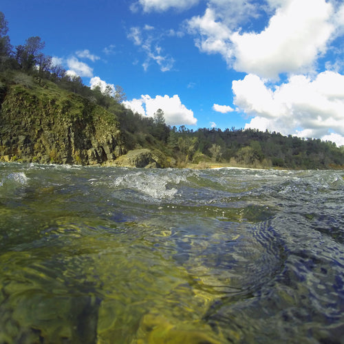 Lower Yuba Fly Fishing Report