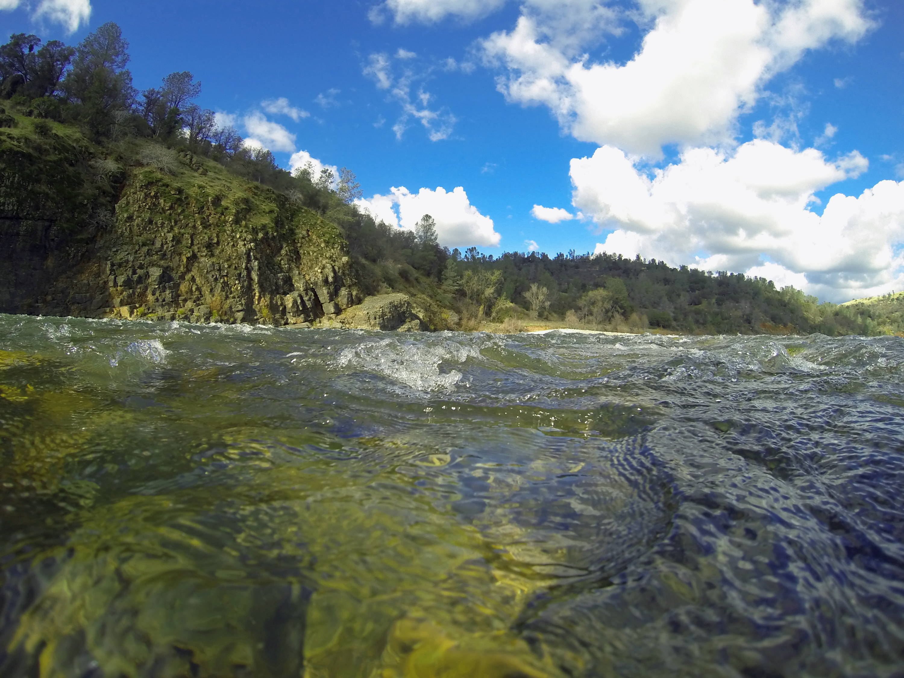 Lower Yuba Fly Fishing Report