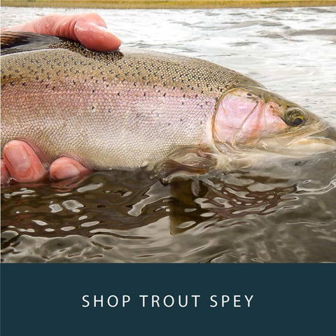Trout Spey Lines