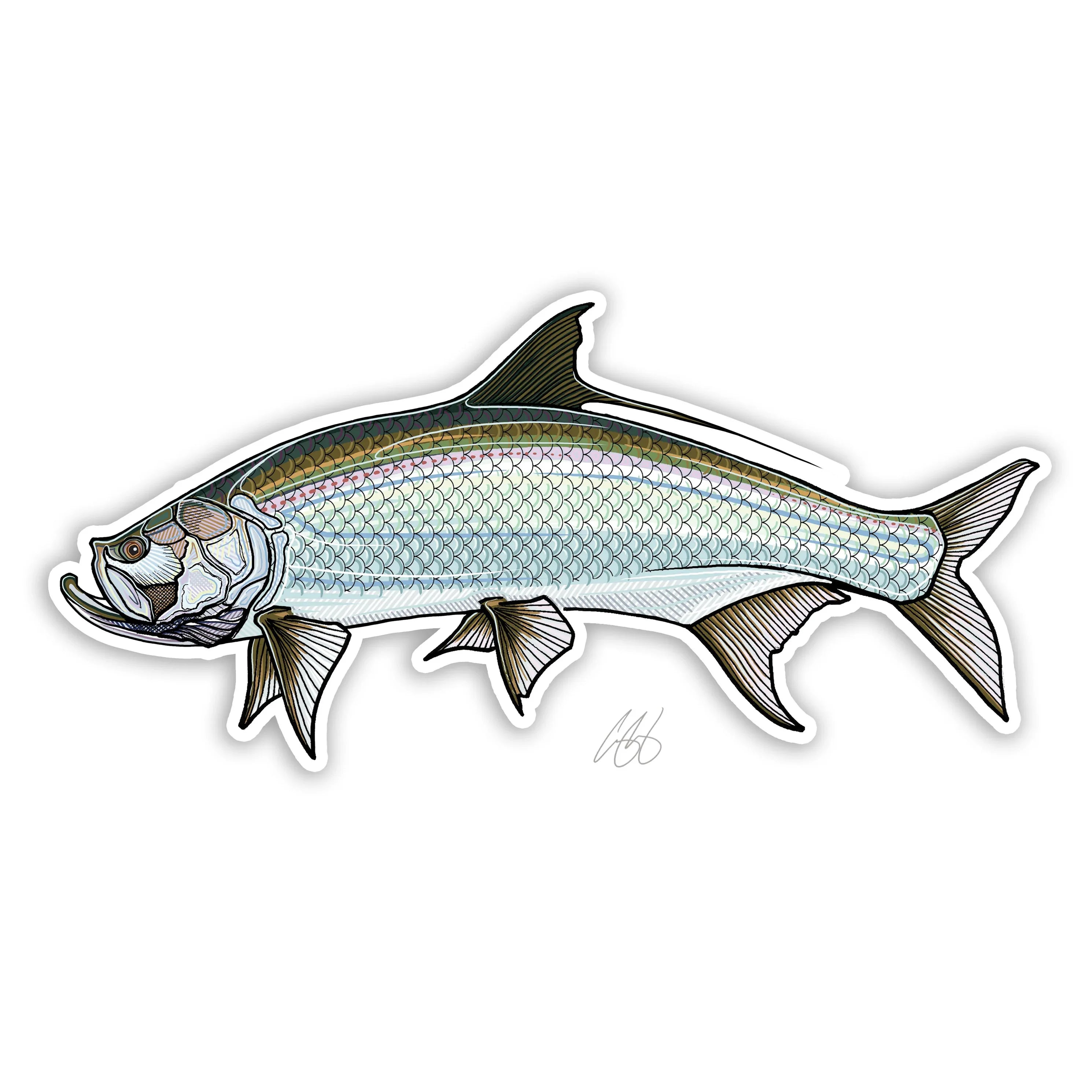 Casey Underwood Fish Decal - Salt Water