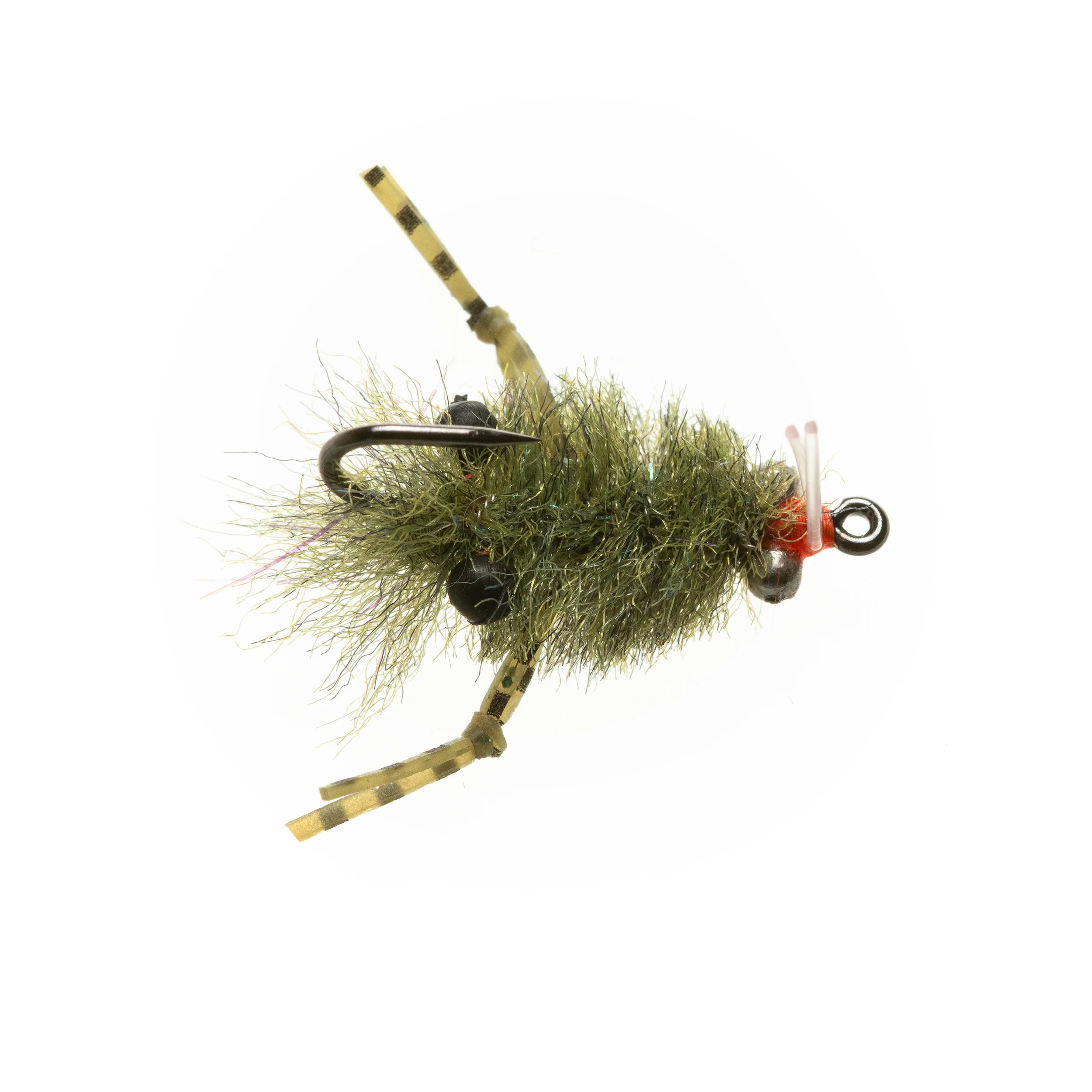 EP Turneffe Micro Crab
