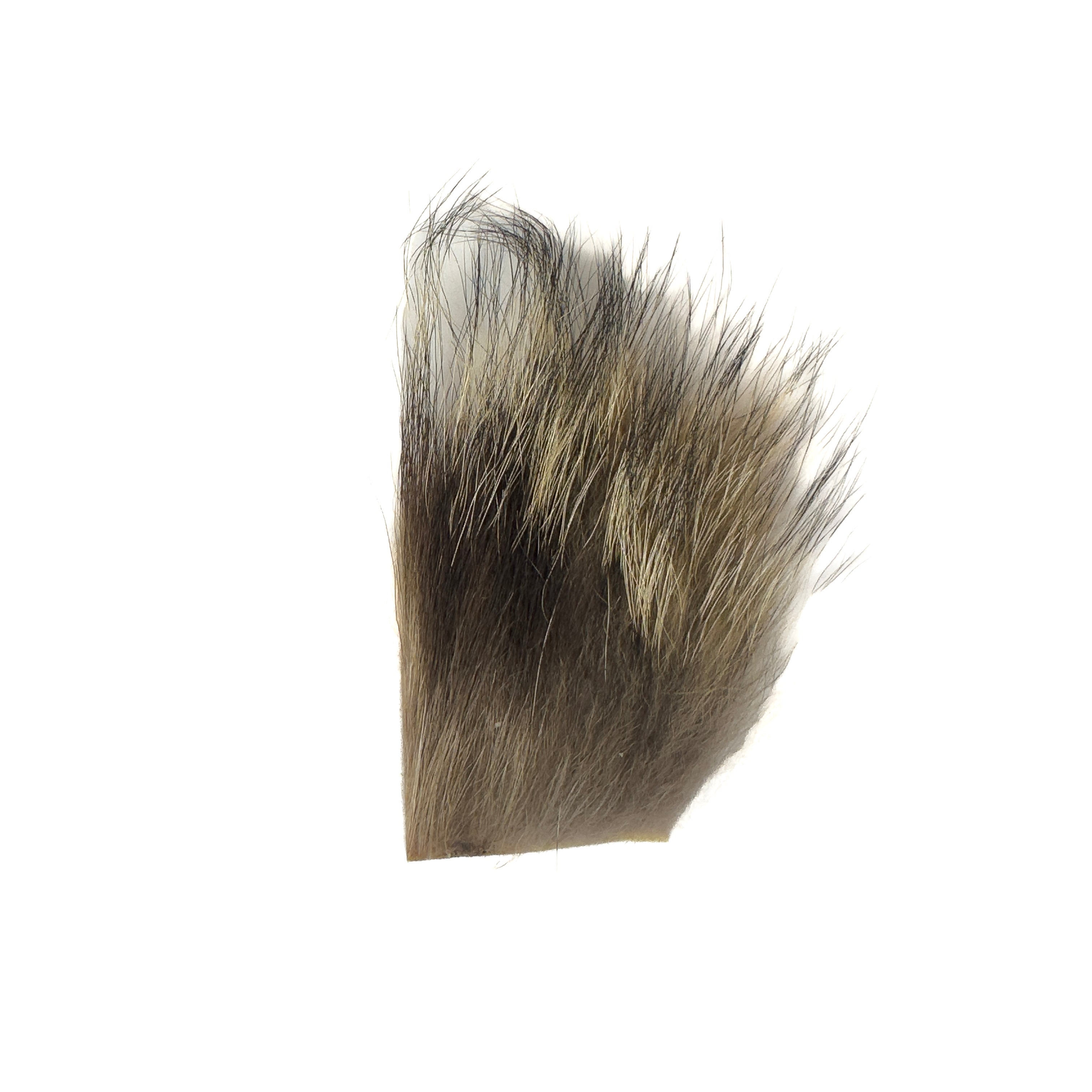 Wapsi Coyote Hair