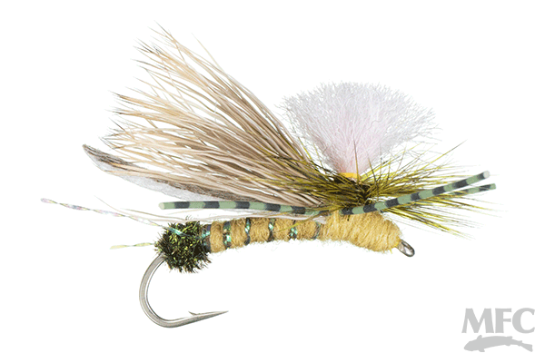 Gould's Half-Down - Skwala