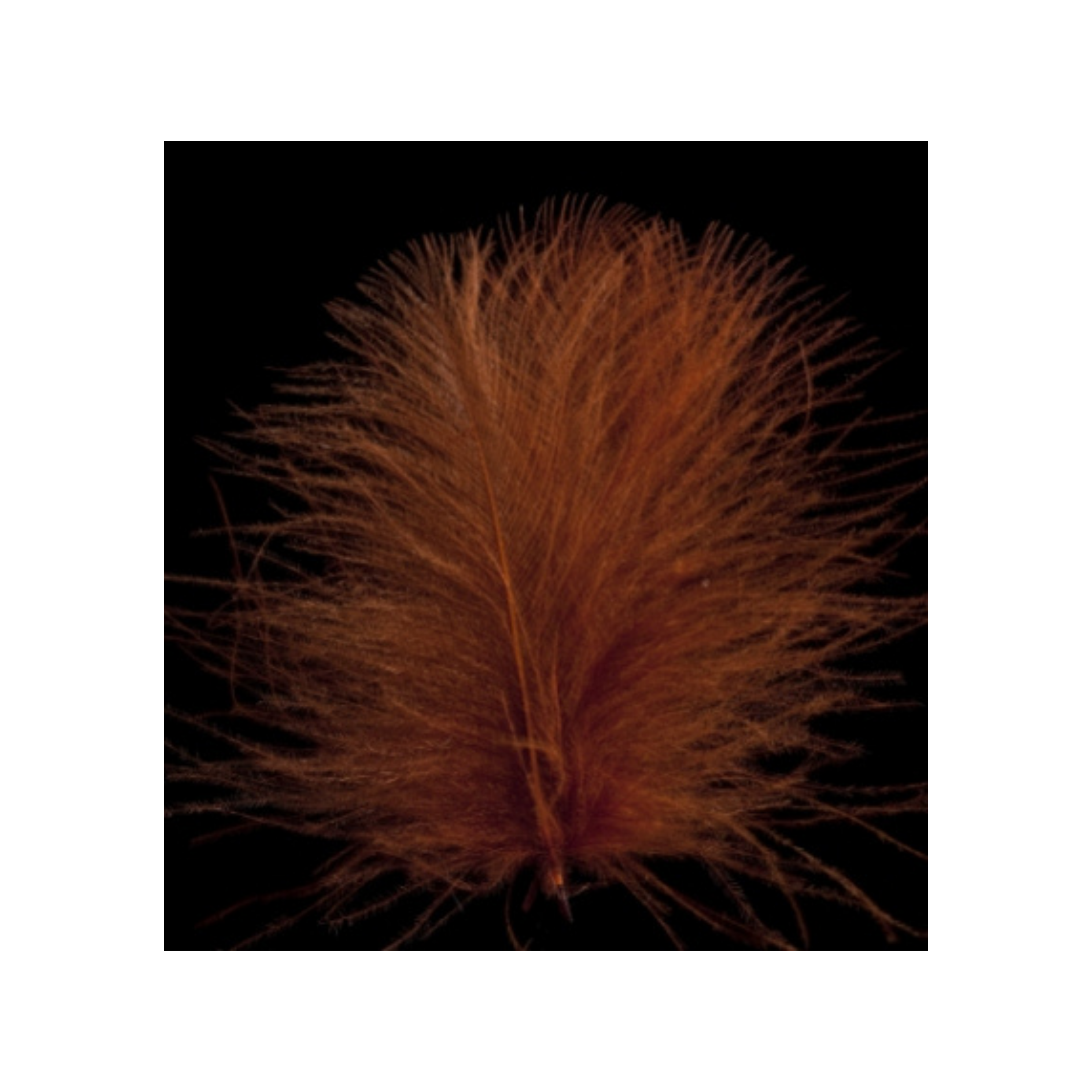 Swiss CDC Super Select