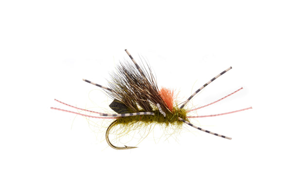 Burkus S/B Skwala
