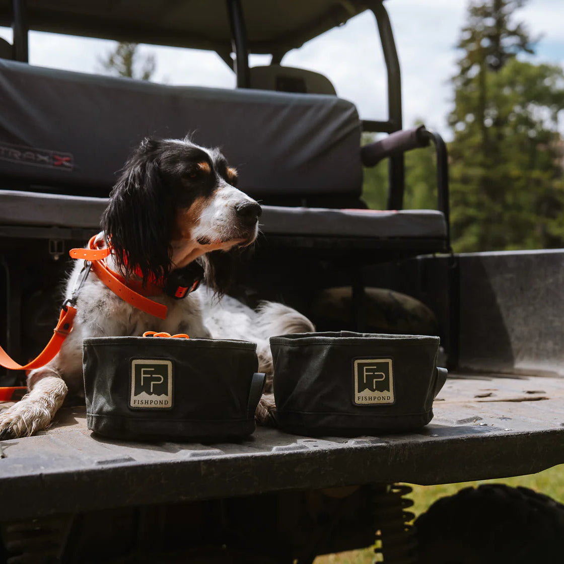 Fishpond Bow Wow Travel Food Bowl