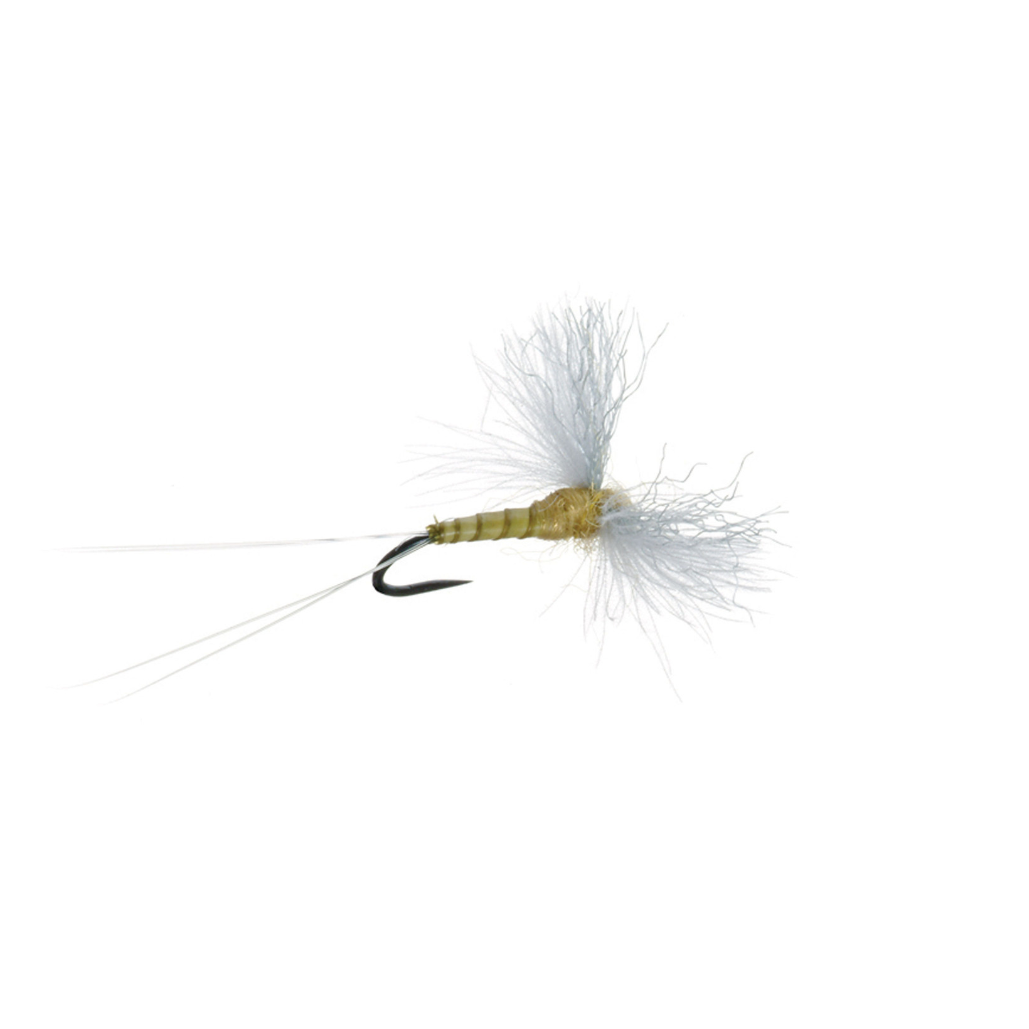 CDC Biot Spinner