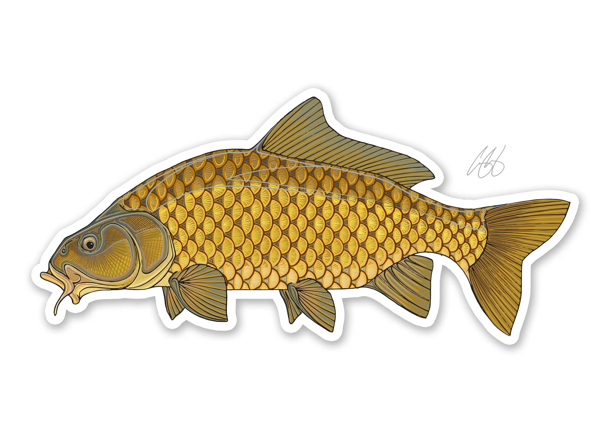 Casey Underwood Fish Decal - Fresh Water