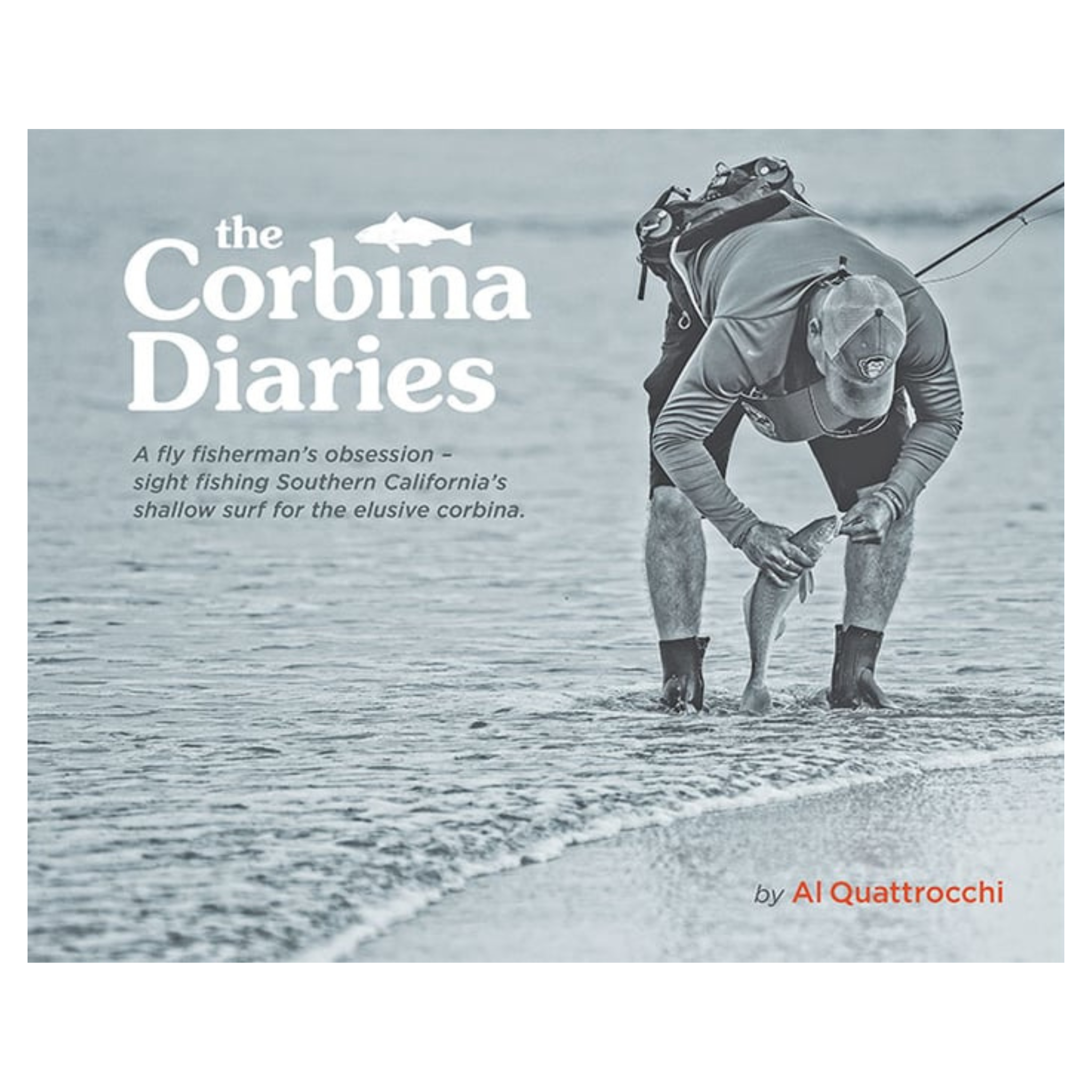The Corbina Diaries