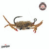 McKnight Danger Muffin Crab