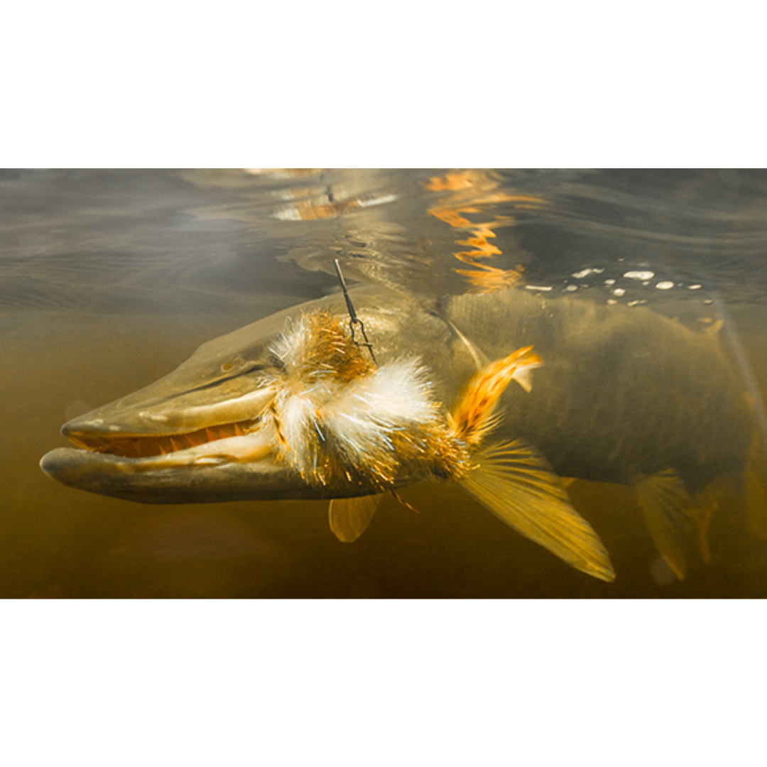 Echo Musky Fly Rod