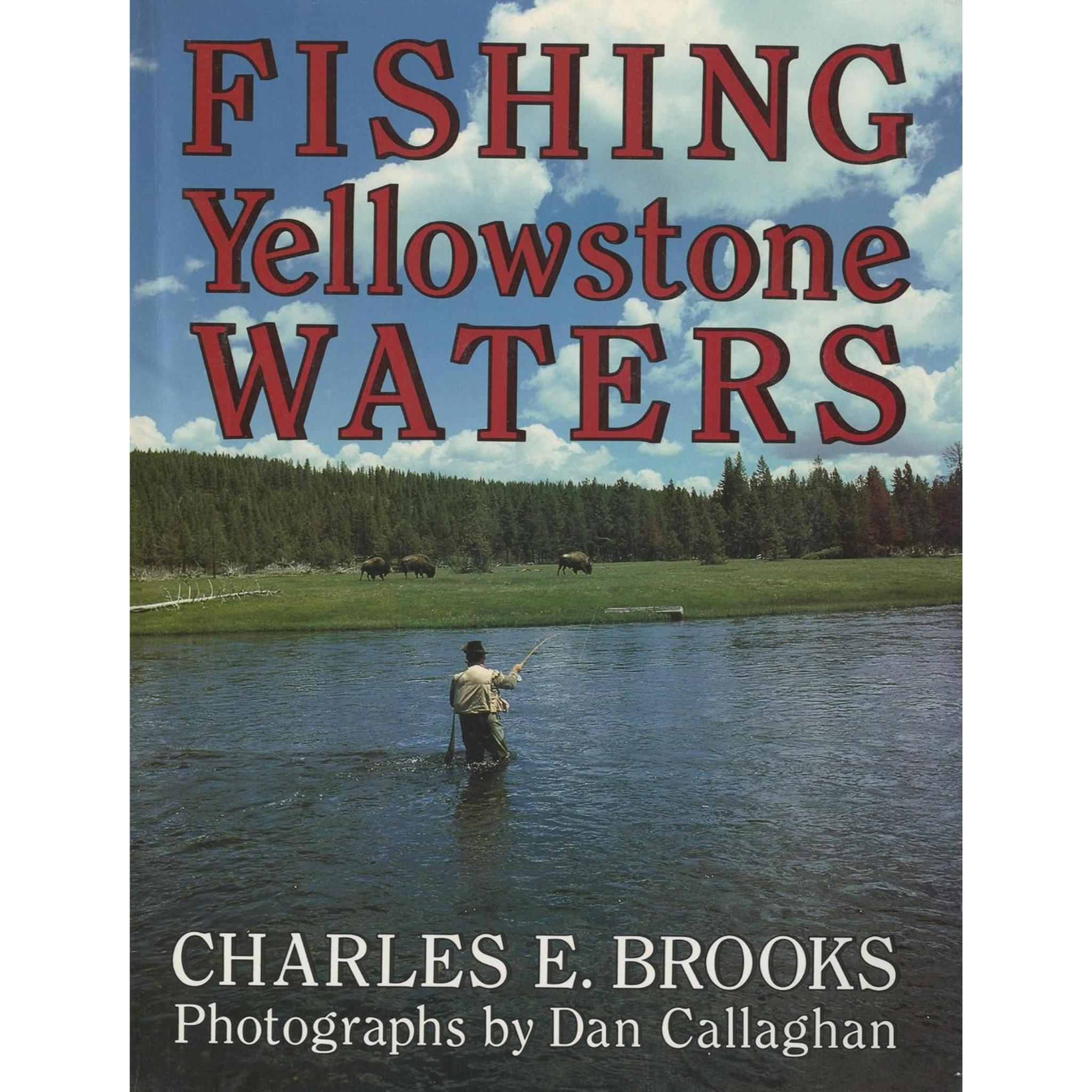 Fishing Yellowstone Waters