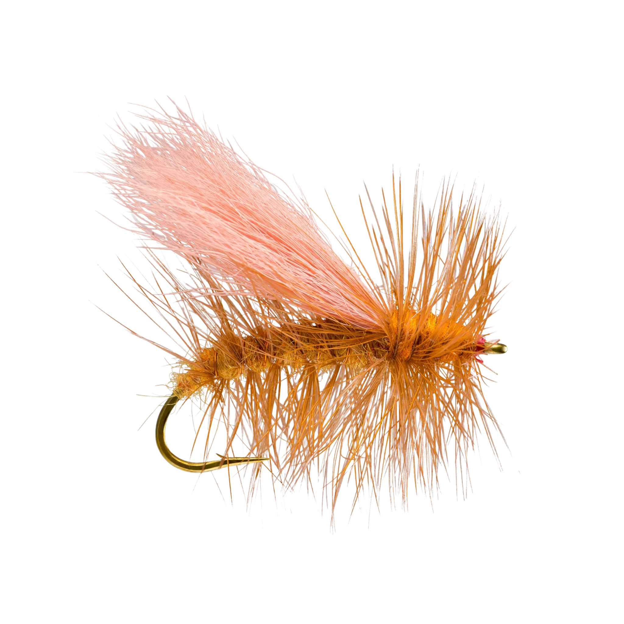 Norm Woods Special