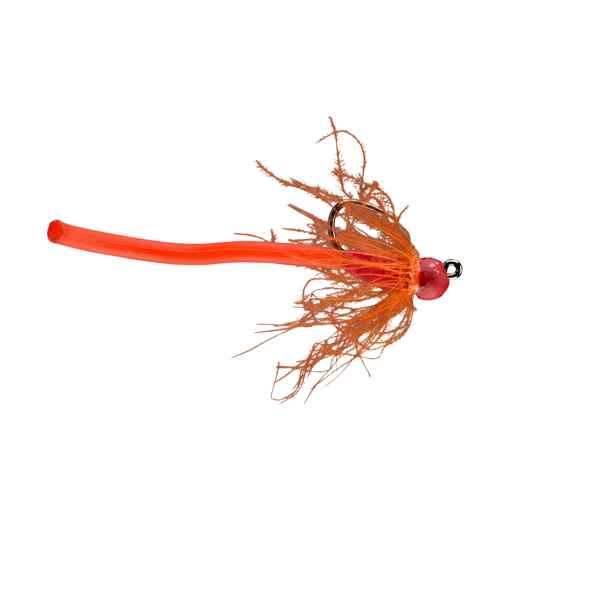 Rio's Worm Farm