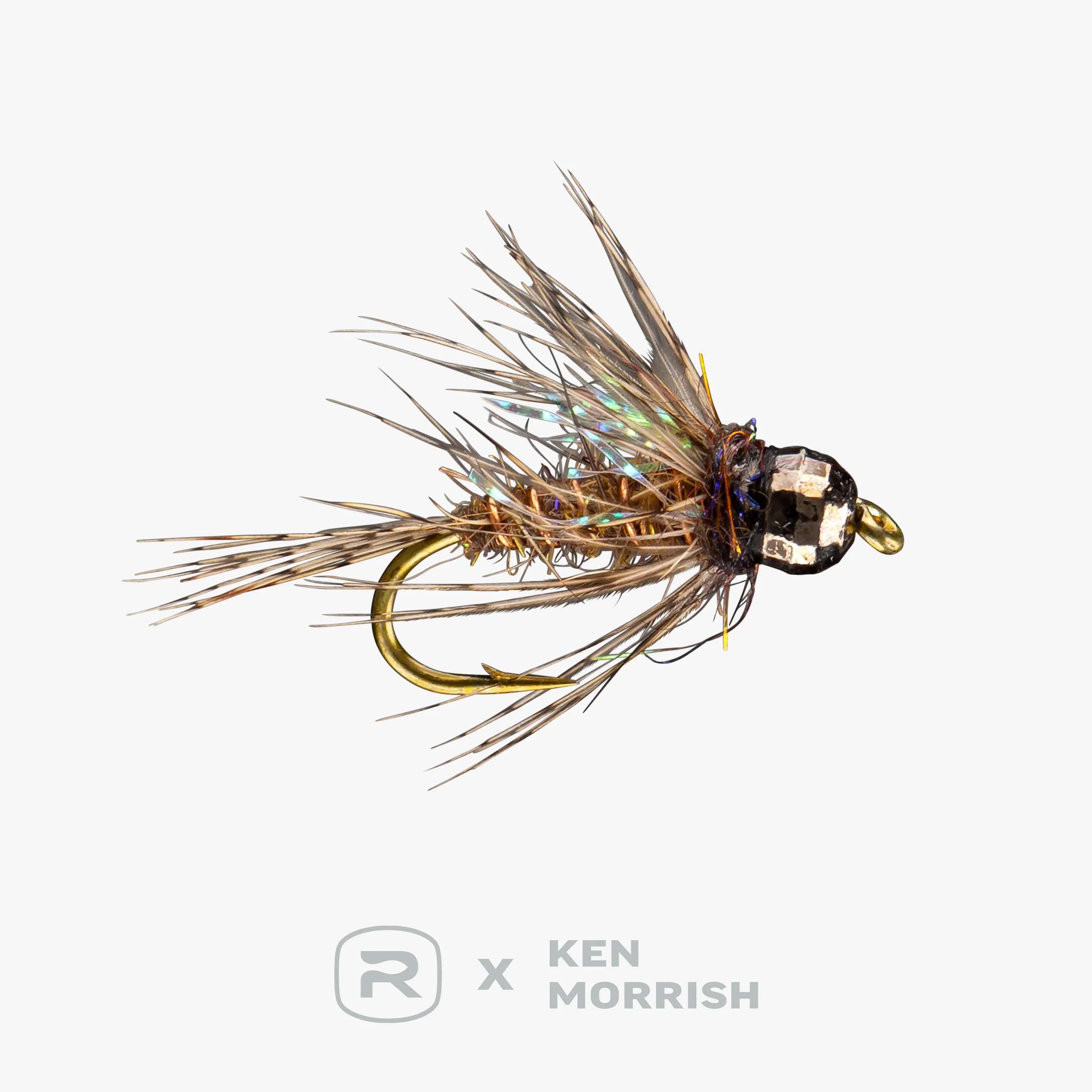 Rio's Morrish Dirty Bird TB