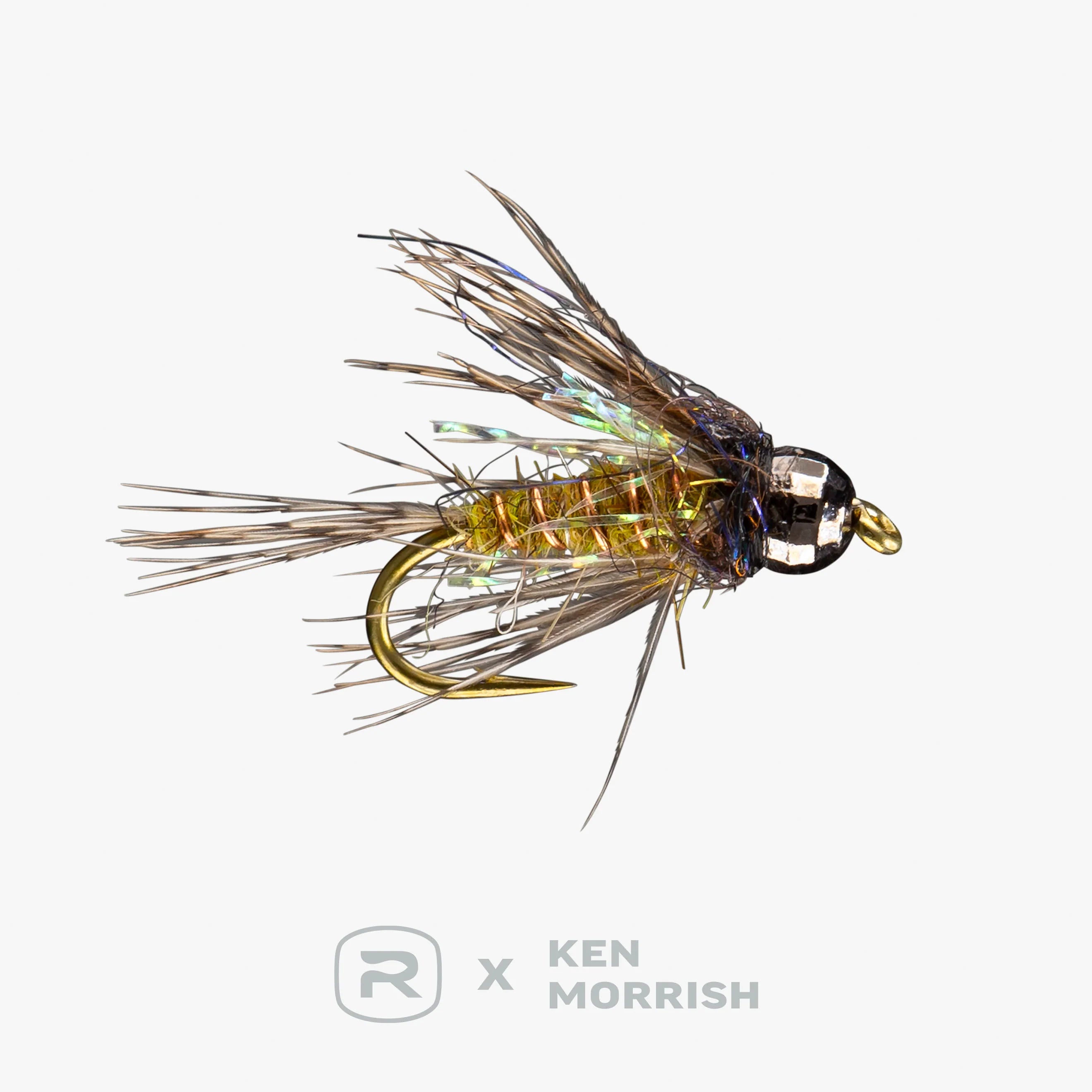 Rio's Morrish Dirty Bird TB