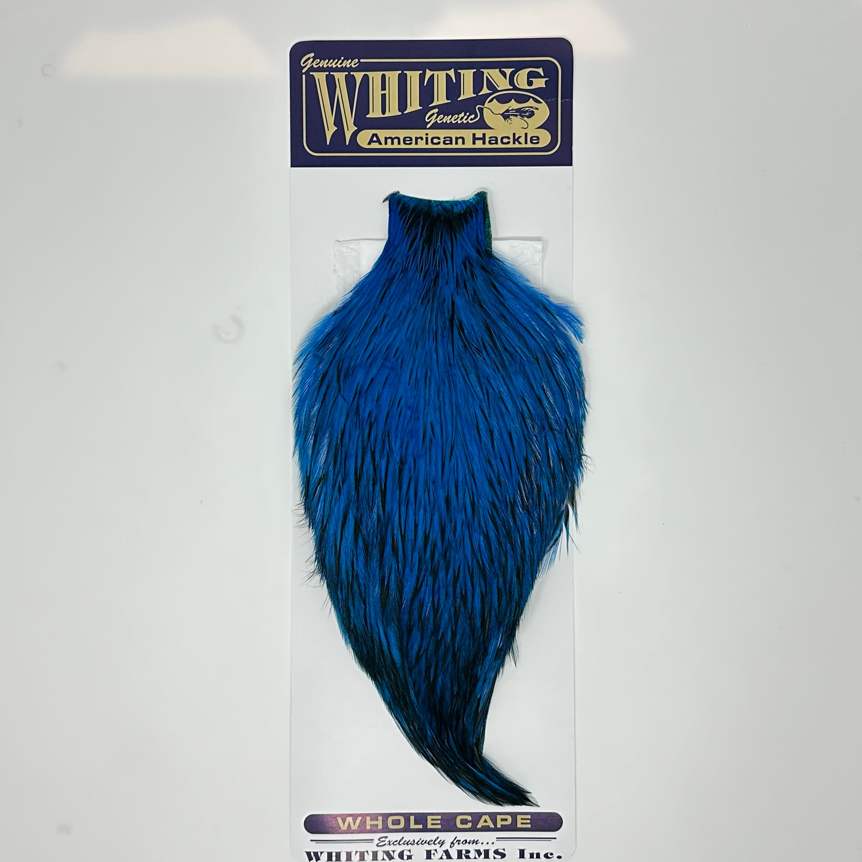 Whiting American Rooster Cape White Laced