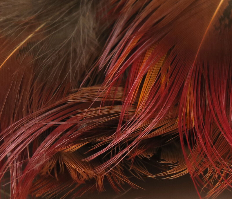 Hareline Golden Pheasant Body Feathers