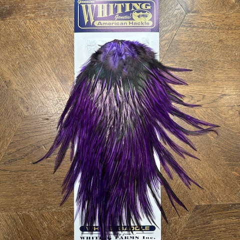 Whiting Farms American Rooster Saddle-Black Laced White