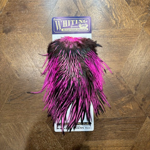 Whiting Farms American Rooster Saddle-Black Laced White