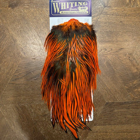 Whiting Farms American Rooster Saddle-Black Laced White