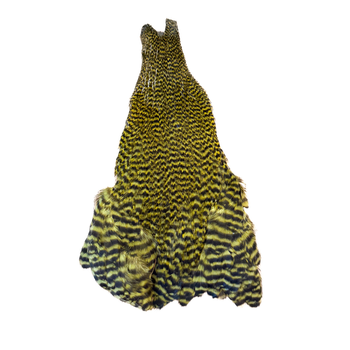 Grizzly Hen Cape