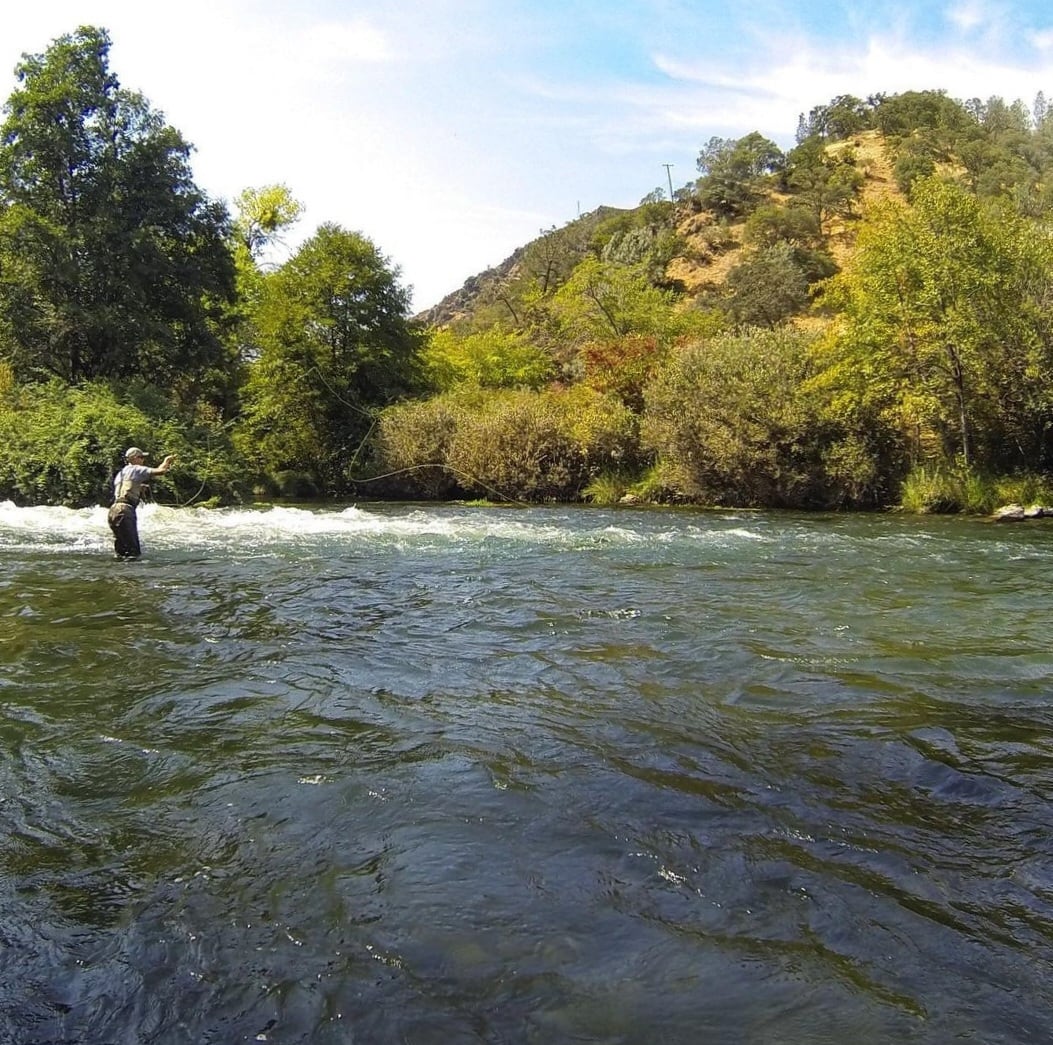 Guided Putah Creek Outing