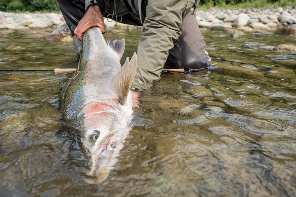 Steelhead *Shop Talk* Wednesday November 4th, 2026