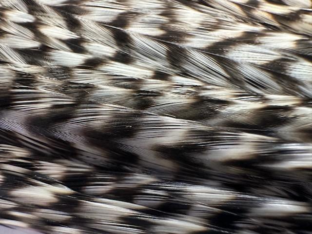 Whiting Farms Half Saddle-Bronze