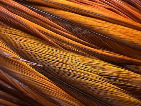 Whiting Farms Cape-Bronze