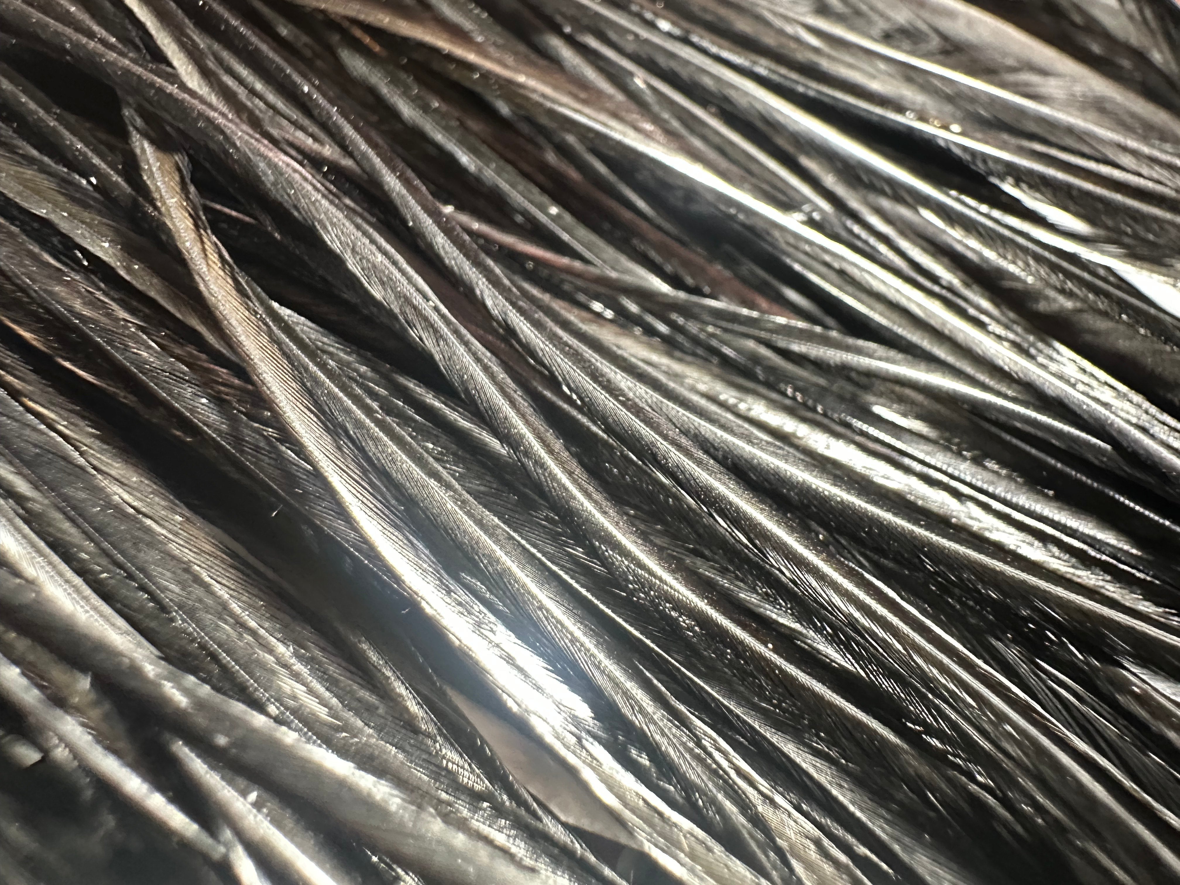 Whiting Farms Half Saddle-Bronze