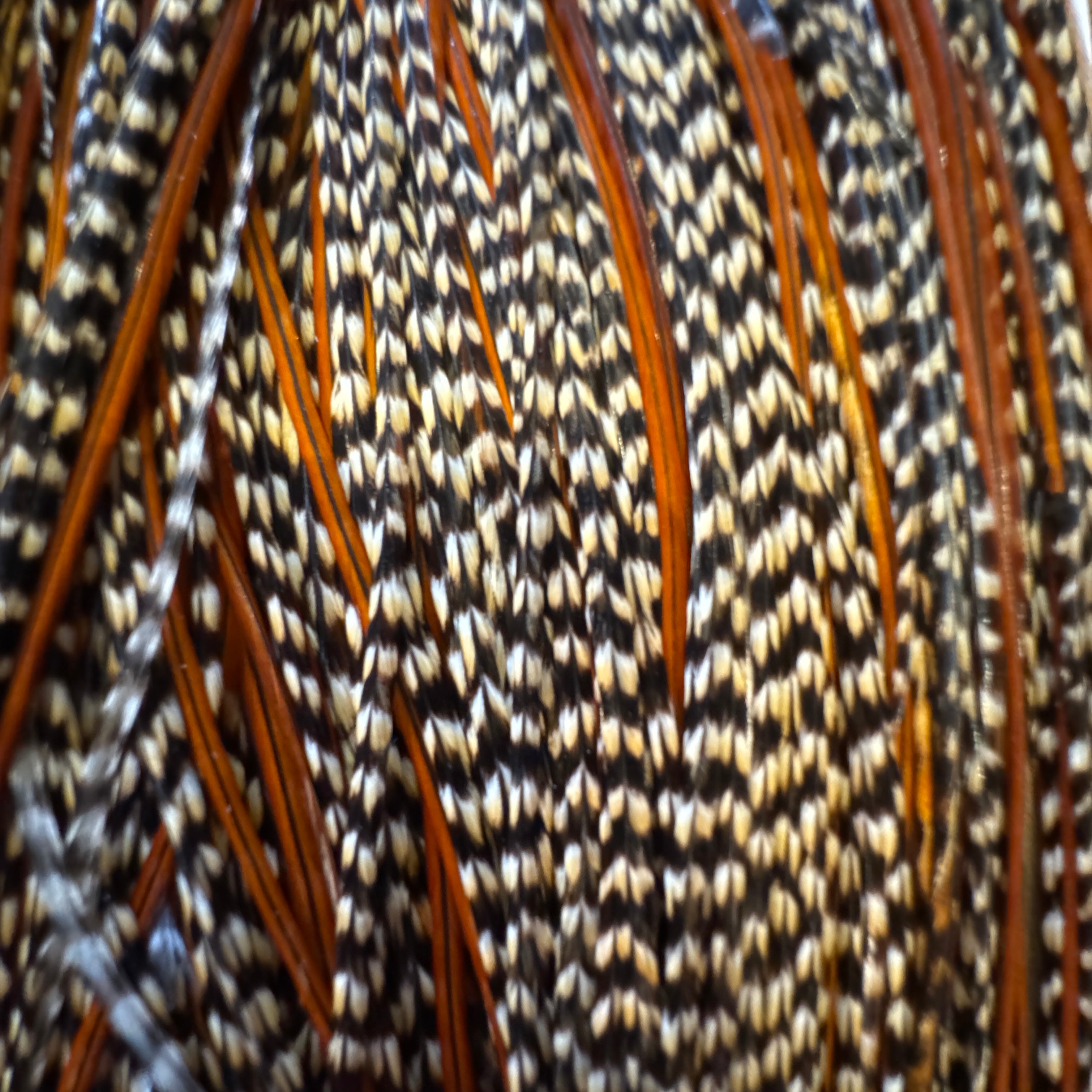 Whiting Farms Bronze Saddle