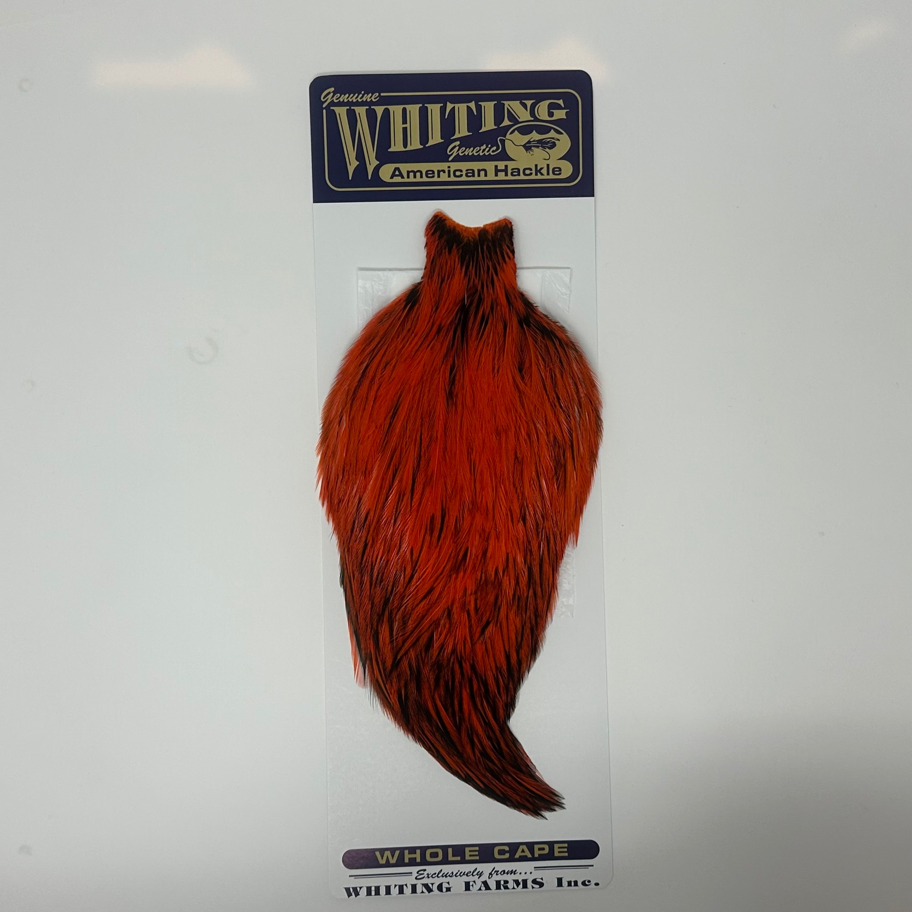 Whiting American Rooster Cape White Laced