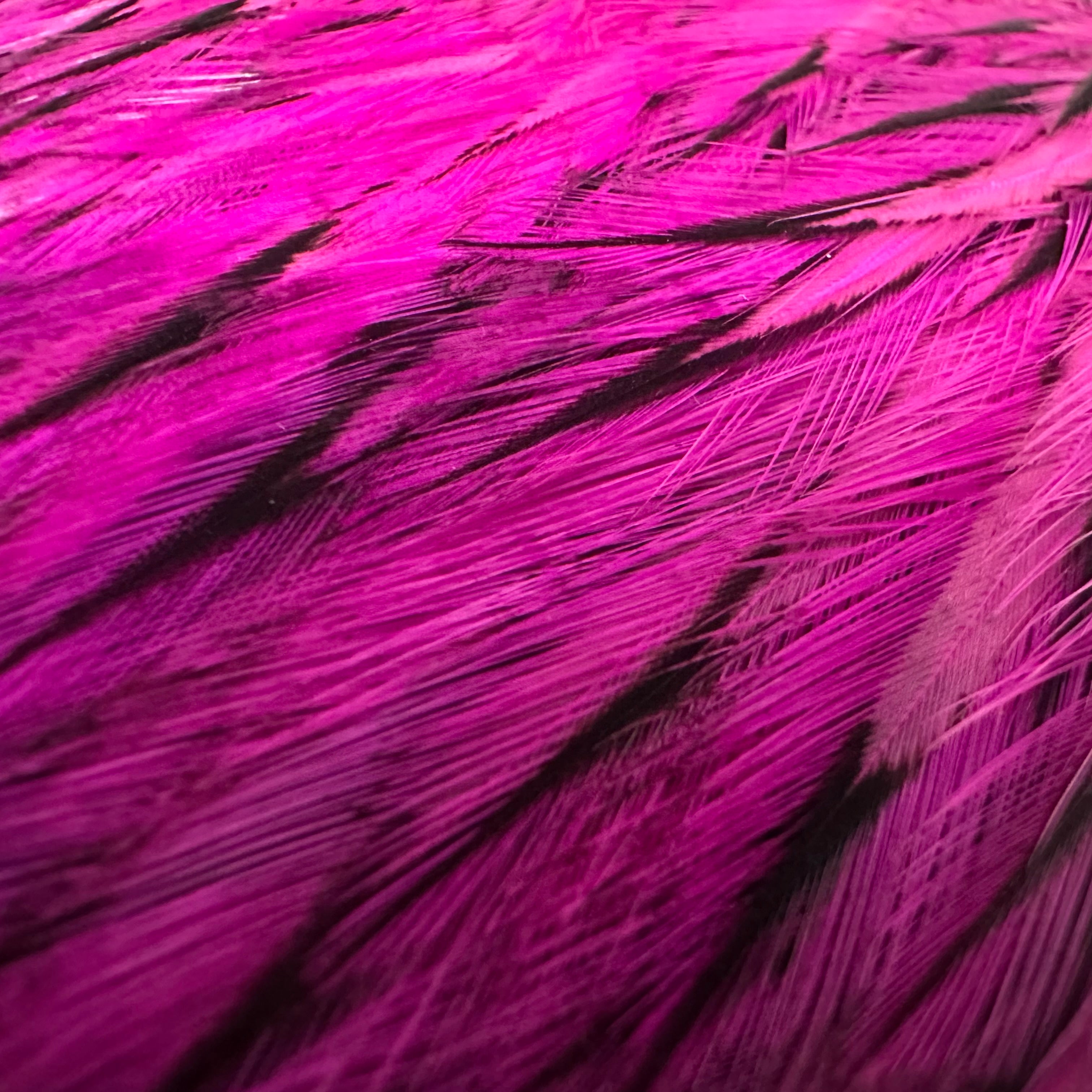 Whiting American Rooster Cape White Laced