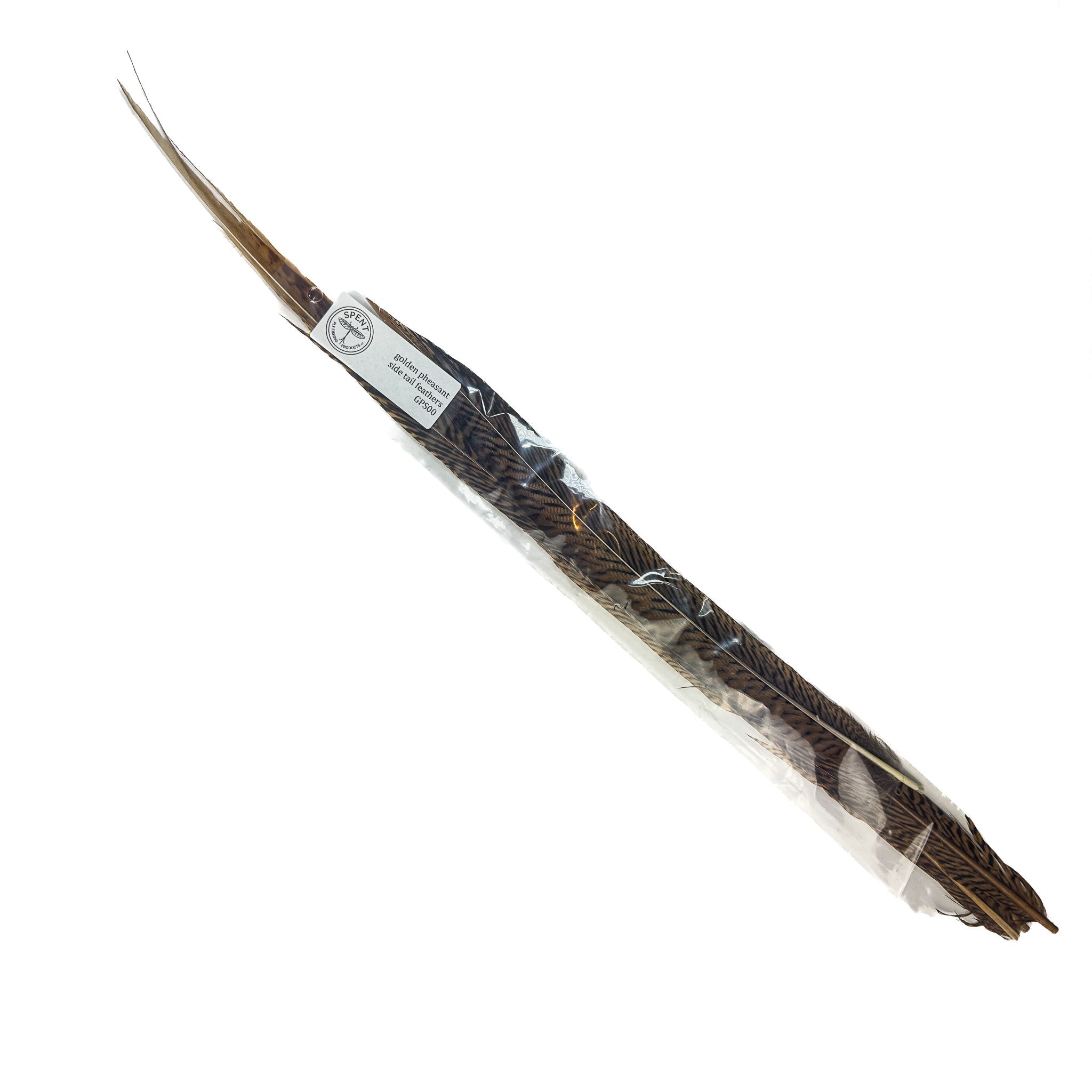 Spent Golden Pheasant Tail Side Feathers