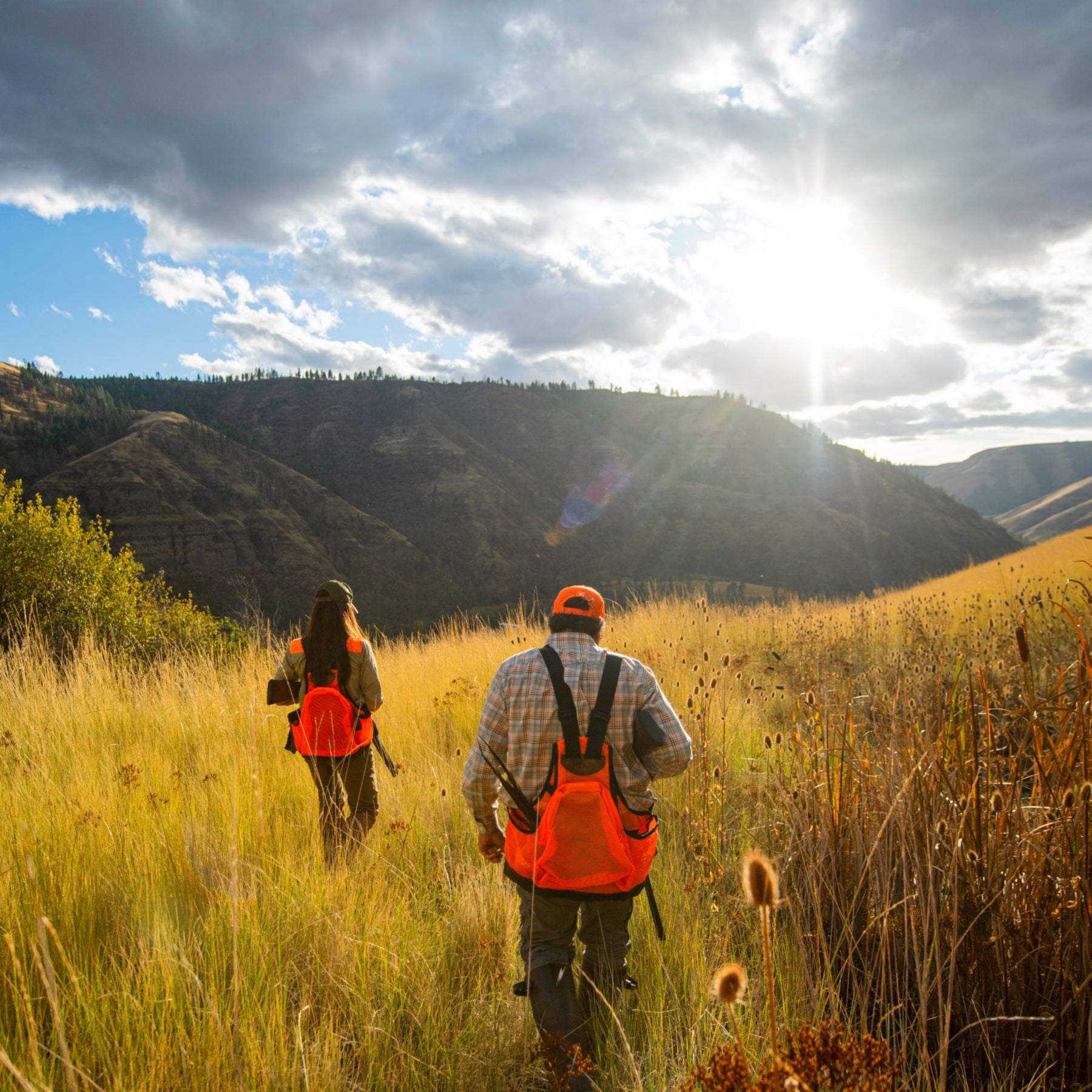 Orvis Waxed Strap Vest