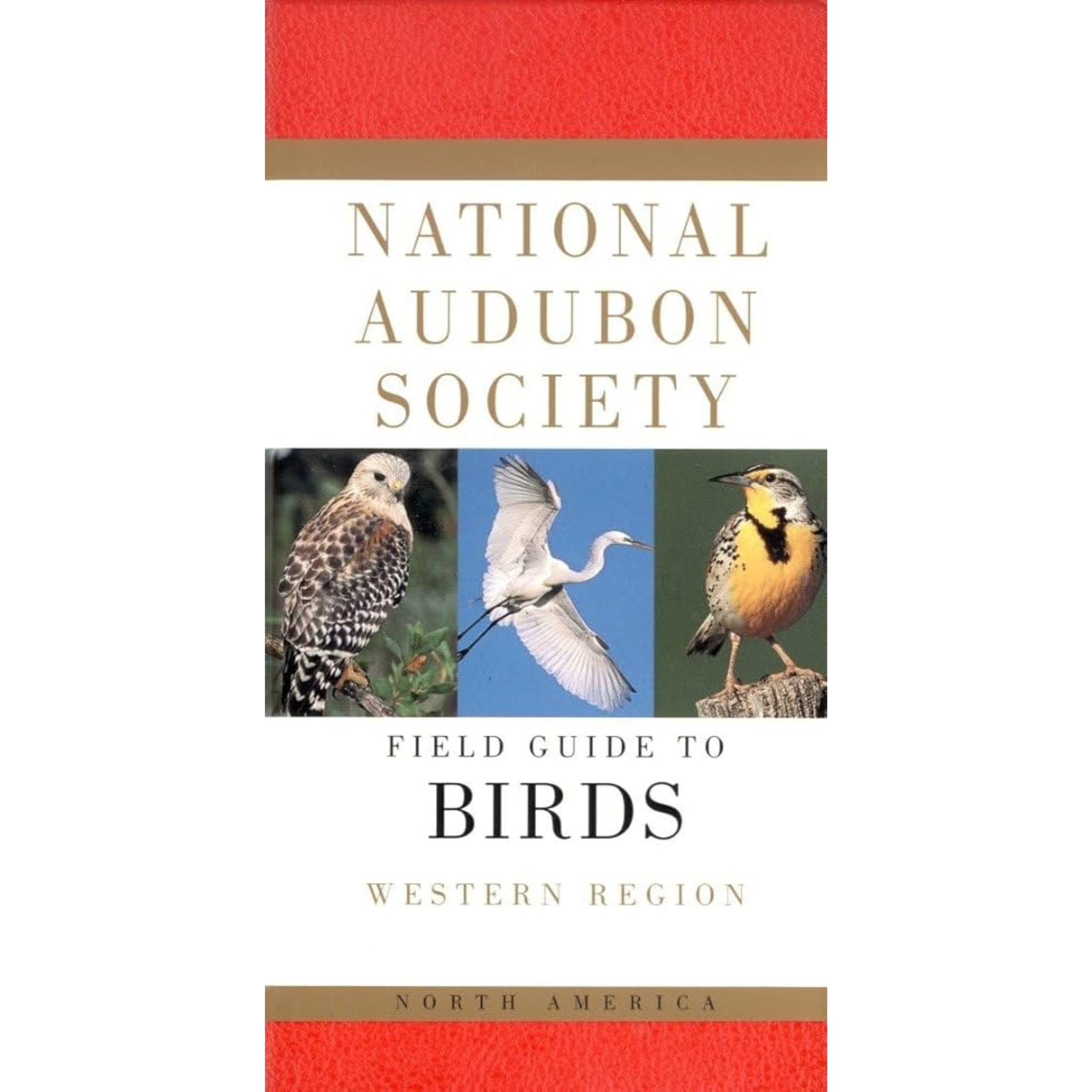 Audubon Pocket Guides: Birds (Western)