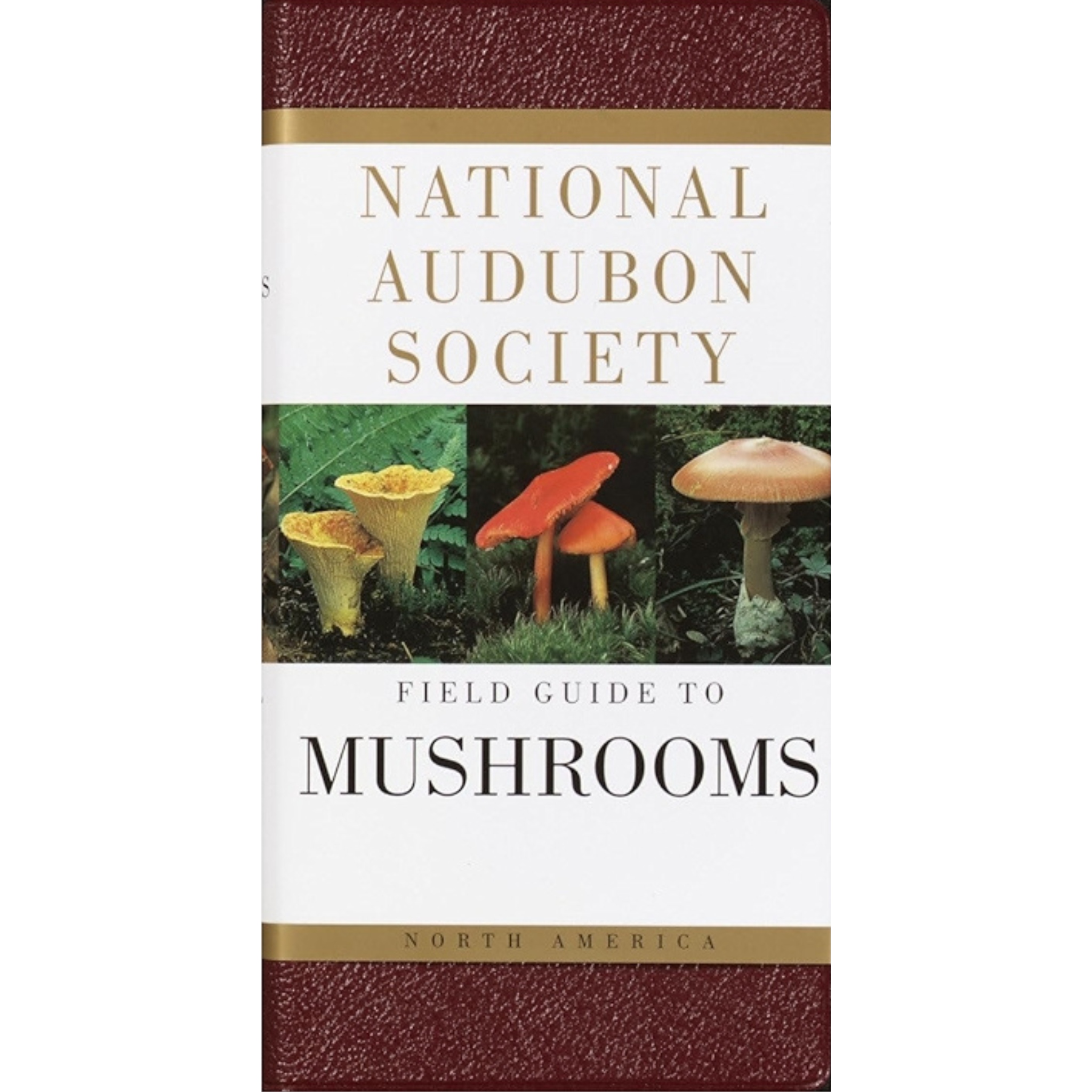 Audubon Pocket Guides: Mushrooms