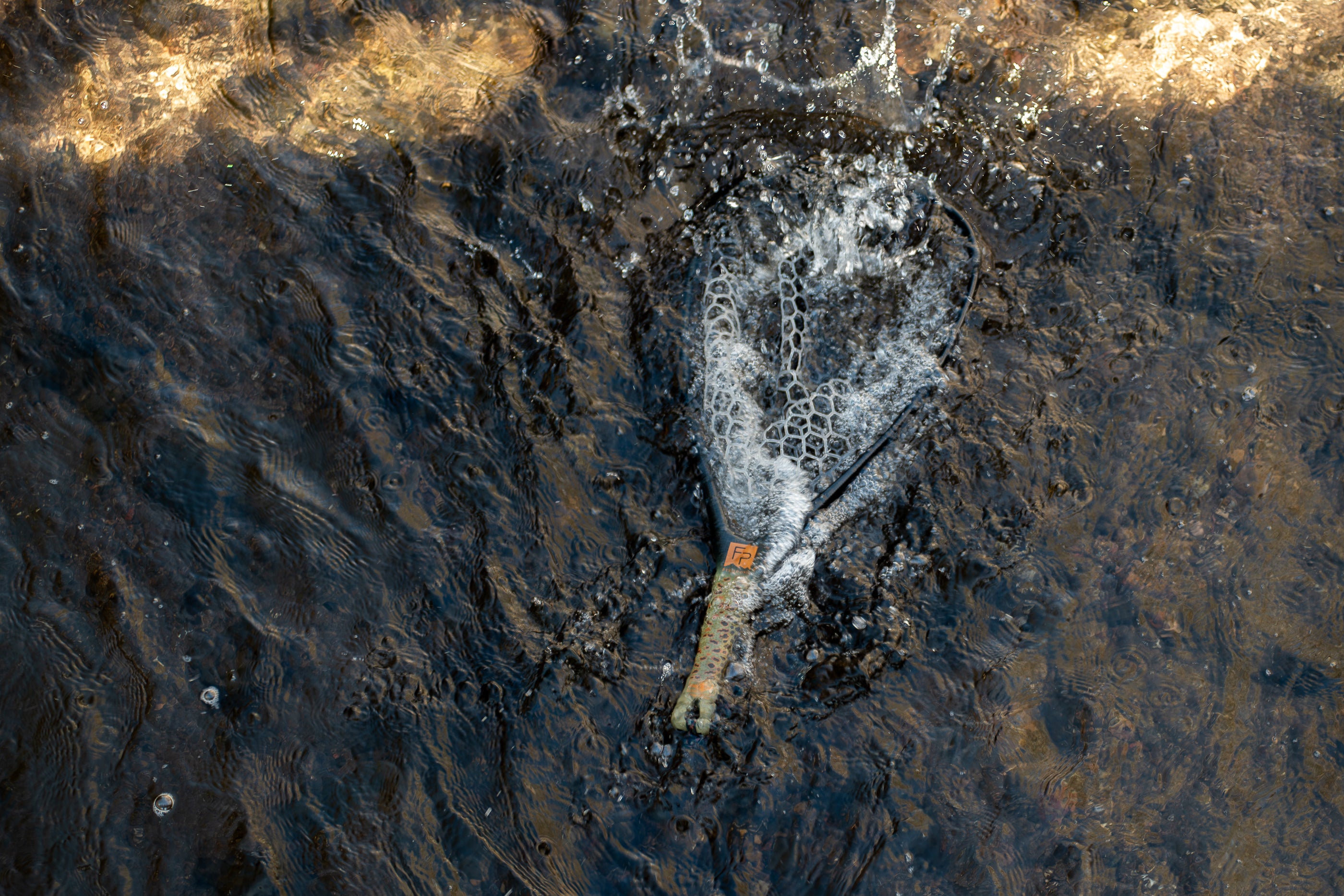 Fishpond Nomad Yampa Hand Net 2.0