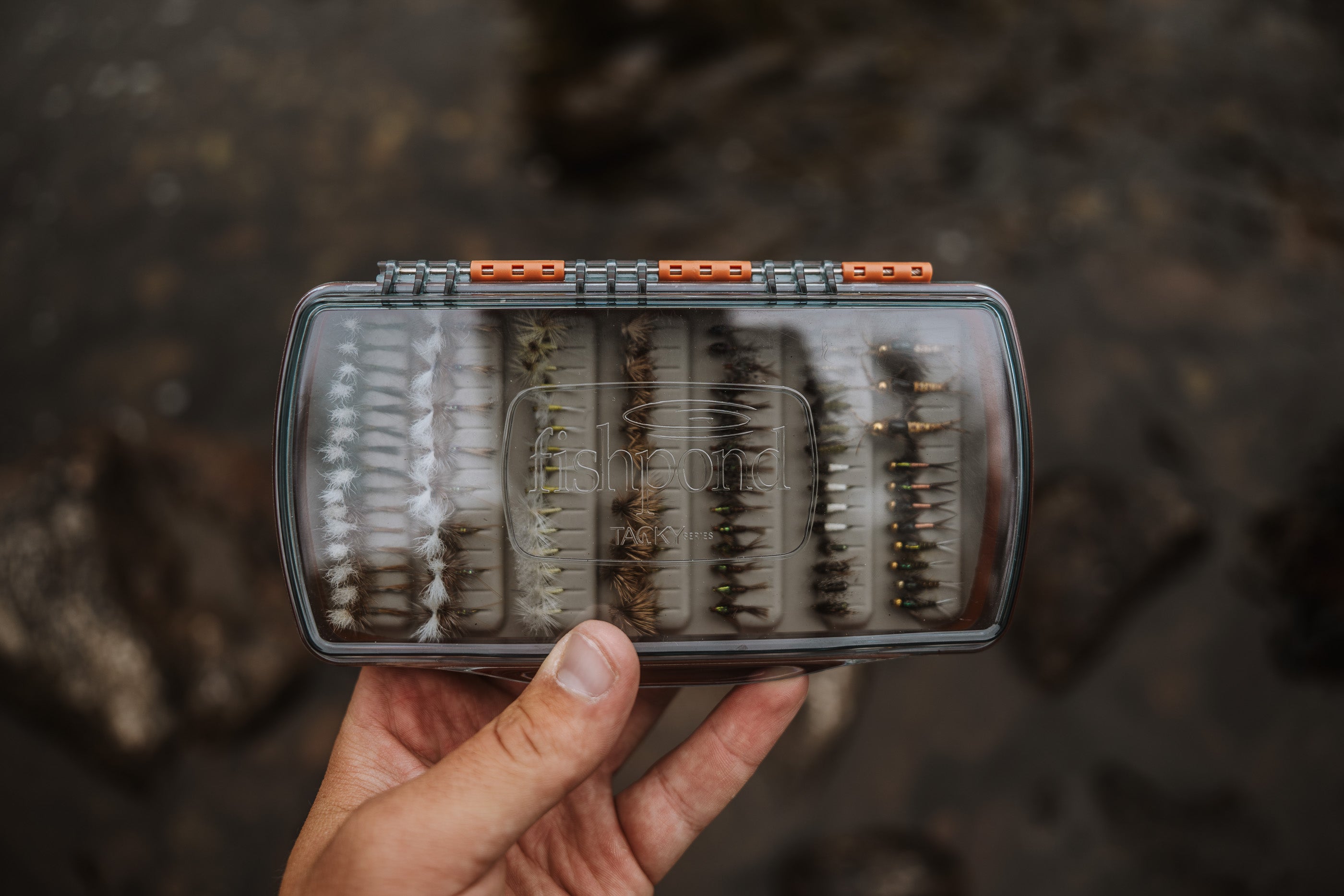 Fishpond Tacky Pescador Fly Box- Medium Clear