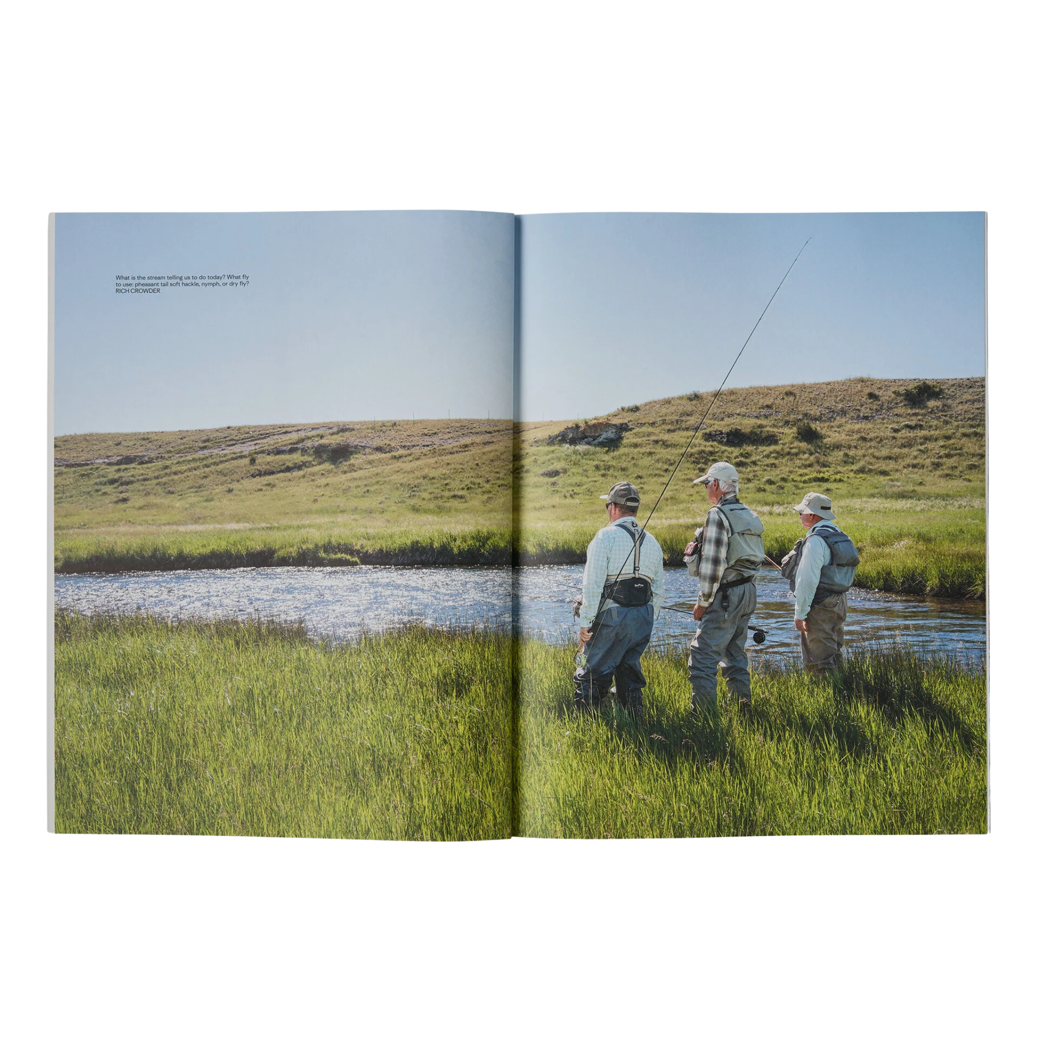 Pheasant Tail Simplicity