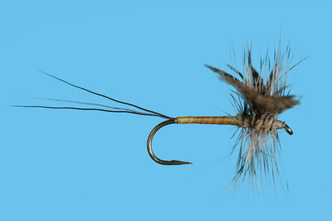 Gray Drake Hackled Spinner