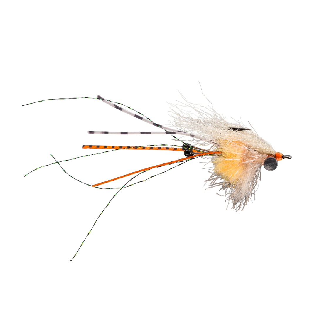 Rio's Carpet Shrimp
