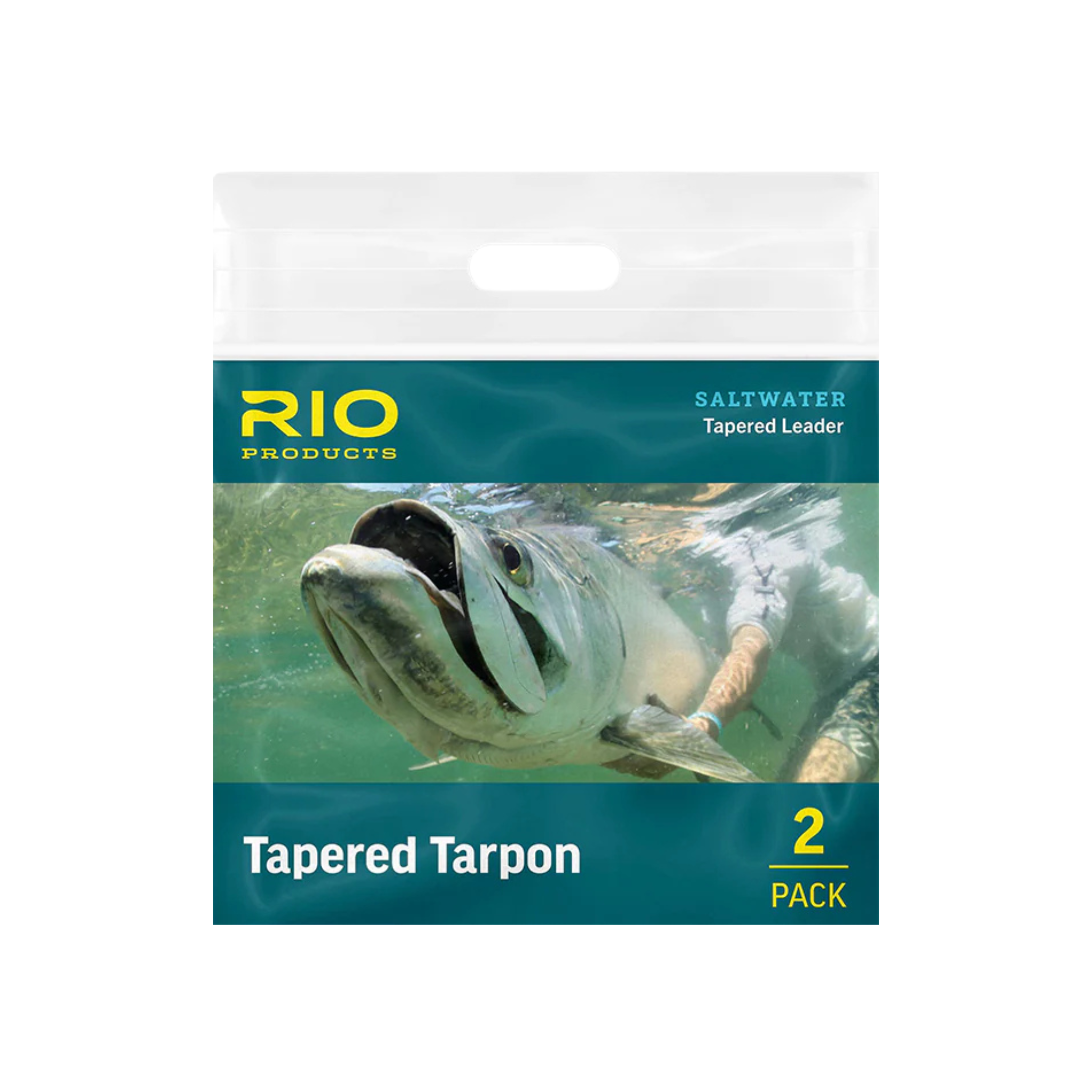 Rio Tapered Tarpon Leader 2-Pack - 12'