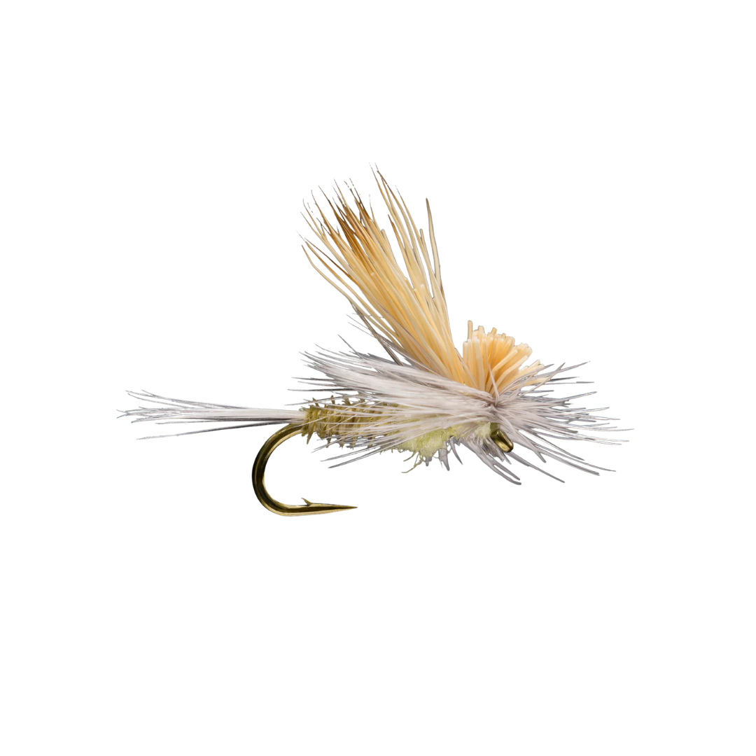 Tilt Wing PMD
