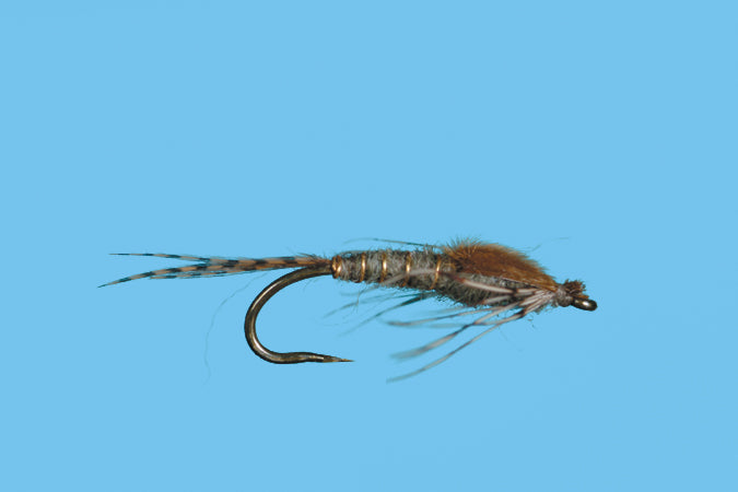 Mayfly Nymph Callibaetis