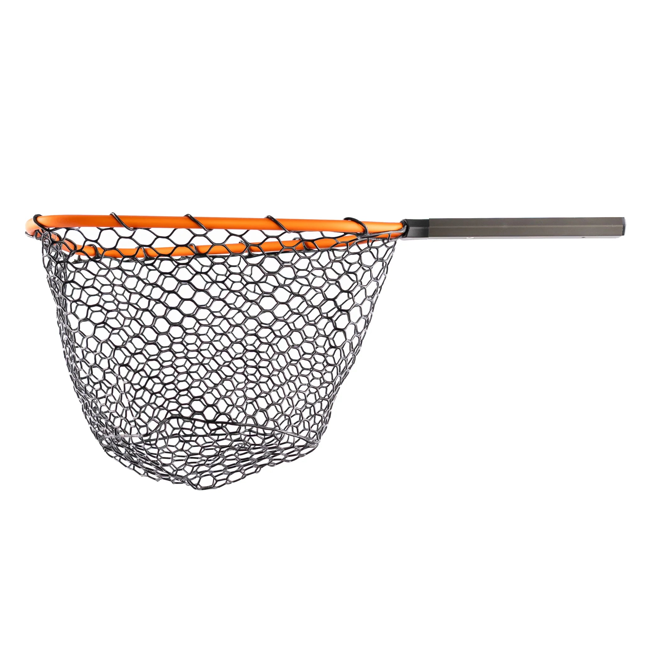 Rising Brookie Net
