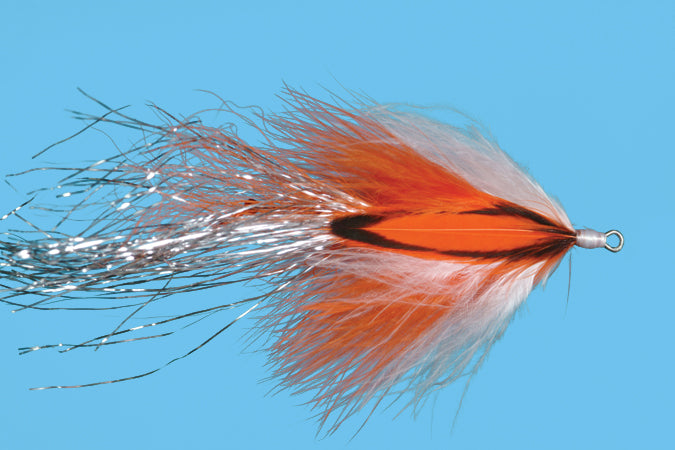 Bjorn's Stinger Prawn