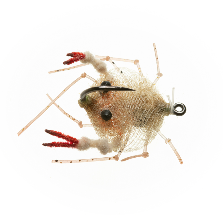 EP Descendent Crab - Tan