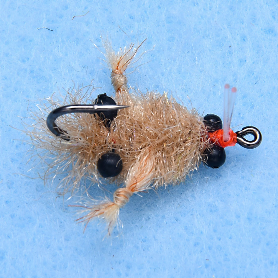 EP Turneffe Micro Crab